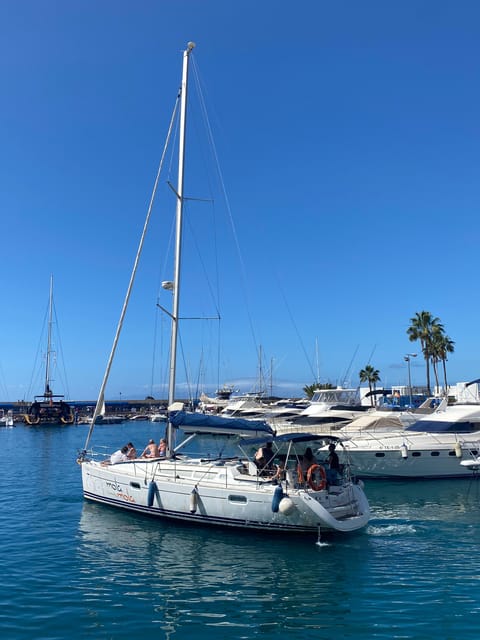 Puerto Colon: Whale-Watching Sailing Tour with Meal & a Swim - What the open ocean feels like