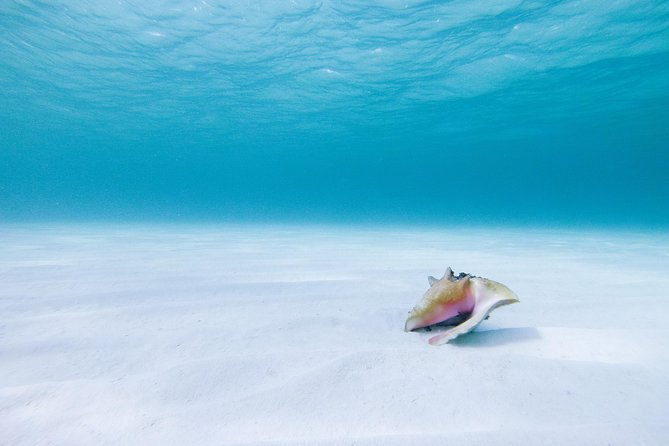 Puerto Morelos Secret Sandbar Catamaran Sail - Lunch, drinks, and what is actually included
