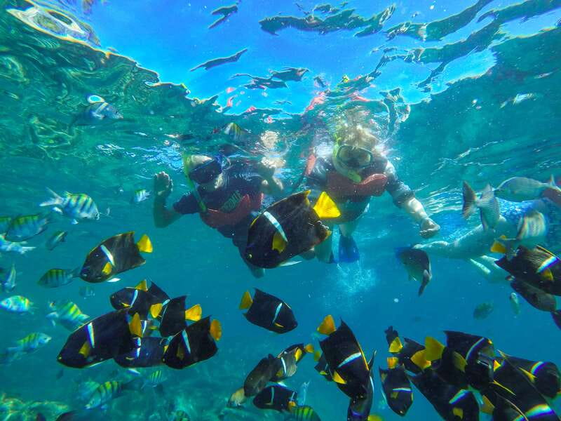 Puerto Vallarta: Luxury Day Sailing Tour of Bay of Banderas - A full day on the Bay of Banderas