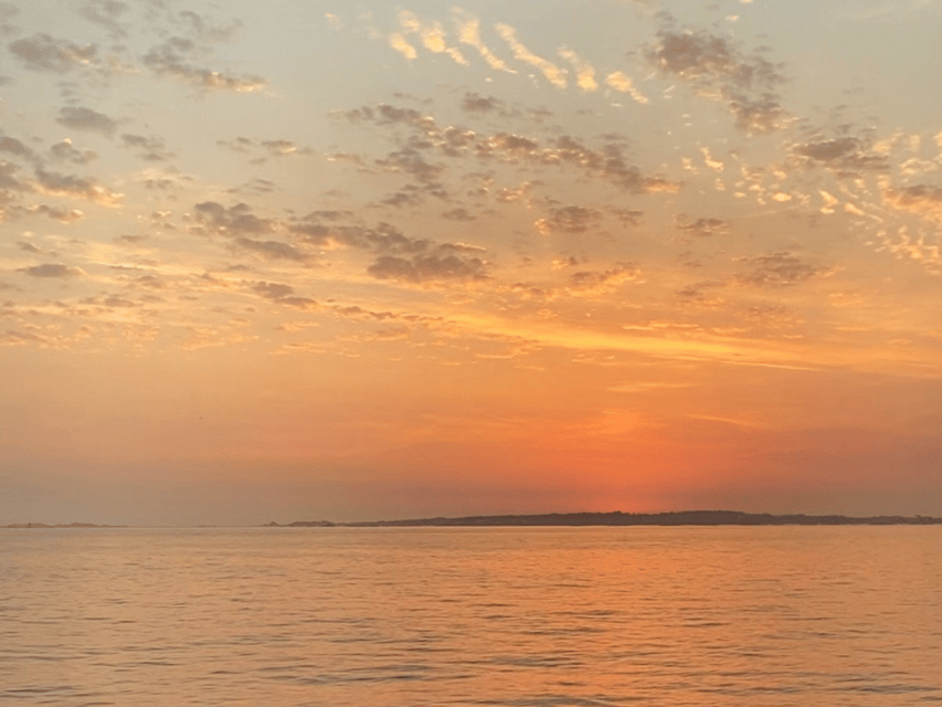Ría de Arousa: Daytime or Sunset Sailboat Cruise with drinks - Photo time, open water, and the chance of dolphins