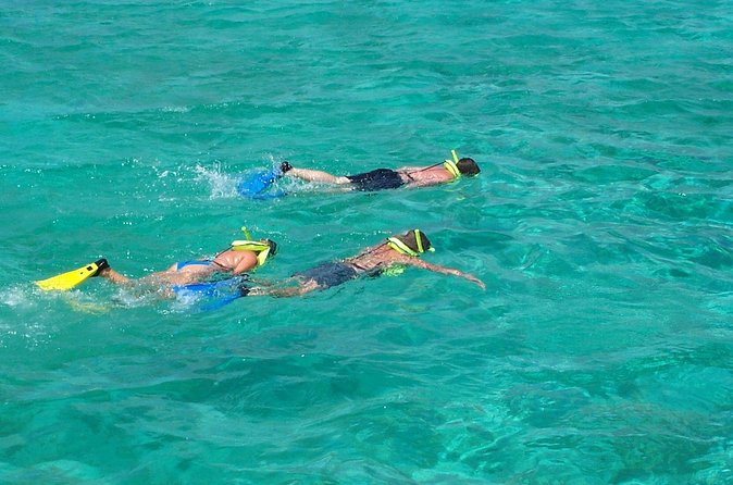 Sail and Snorkel at Cades Reef - Is $110 a good value?