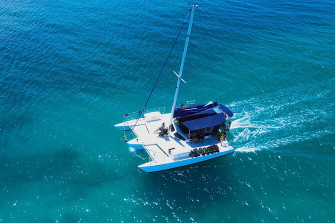 Sail and Turtle Snorkeling Tour in Waikiki - What snorkeling is like for first-timers