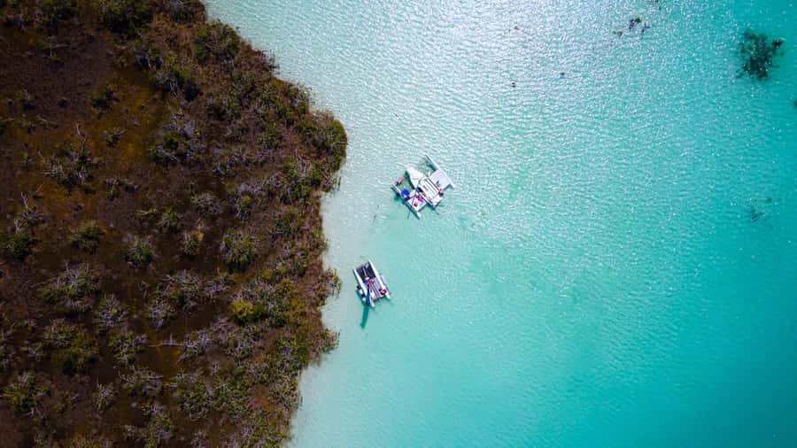 Sail for 4 hours in the most SECRET spot in Bacalar. INCLUDES Beach Club. - The fruit picnic and seven shades of blue