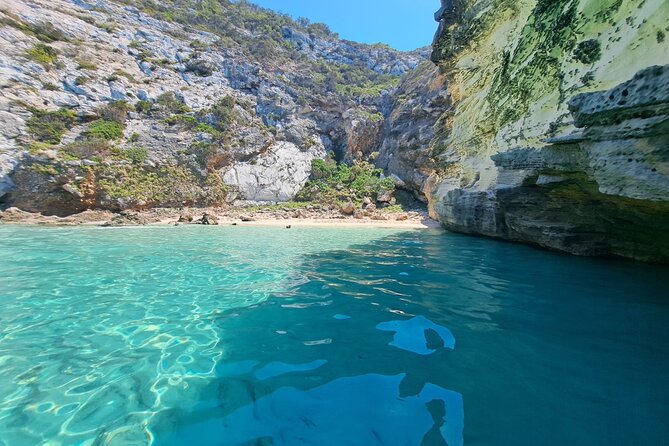 Sail Ibiza Formentera enjoy a swim in paradisiacal coves - Playa de Ses Illetes for a long swim