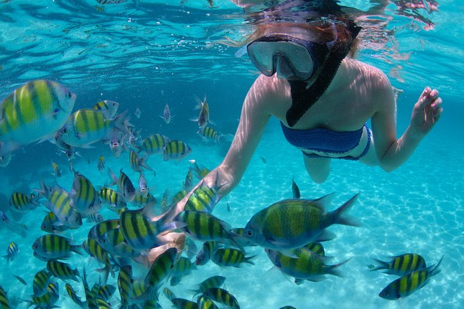 Sail/Snorkel Adventure from Sapphire Marina,STT NO CROWDS~ 6 GUEST MAX - Choosing between Caneel Bay, Christmas Cove, and Lovango