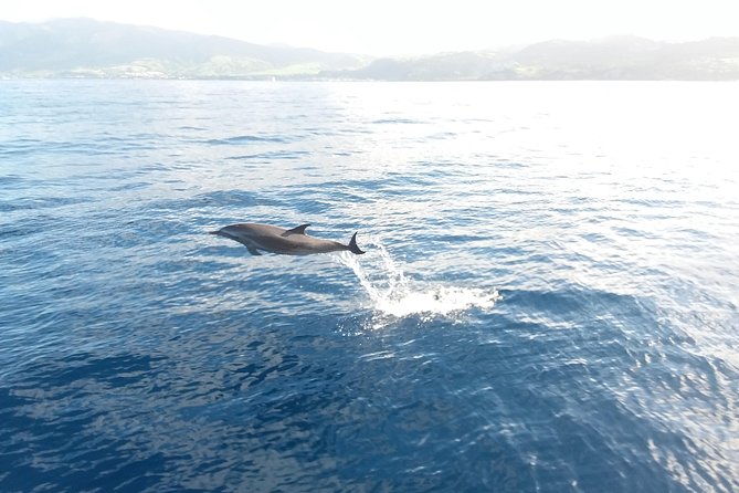 Sail/Snorkel Adventure from Sapphire Marina,STT NO CROWDS~ 6 GUEST MAX - The boat ride is part of the attraction