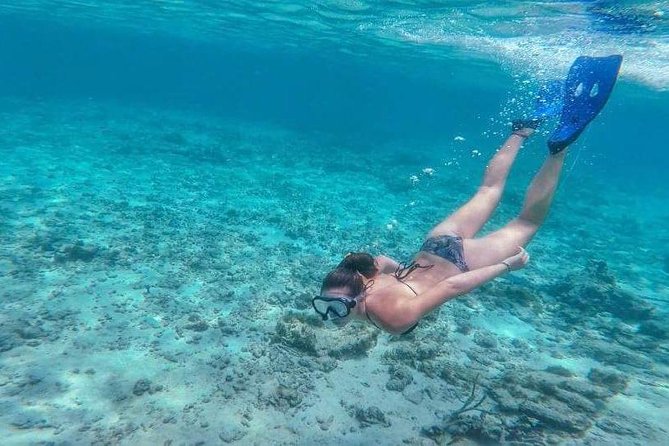 Sail/Snorkel Adventure from Sapphire Marina,STT NO CROWDS~ 6 GUEST MAX - Drinks, snacks, and what to bring