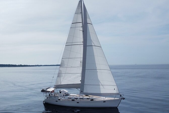 Sailboat tour to the island of Cannes - The island stop and time at anchor