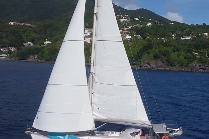 Sailboat tour to the island of Cannes - Practical details that matter