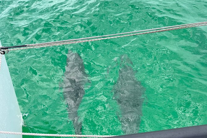Sailing Adventures 3-Hour Activity in Destin - Is $525 a fair price?