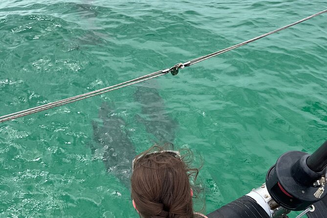 Sailing Adventures 3-Hour Activity in Destin - Who will enjoy this most?