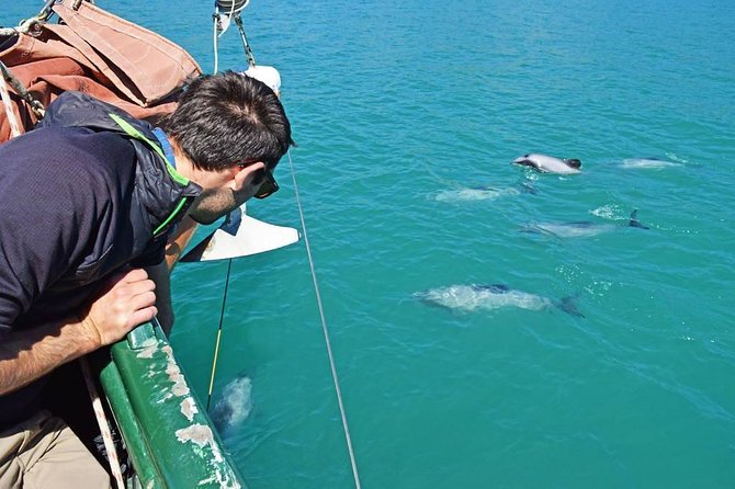 Sailing and Wildlife Tour Akaroa Fox II Sailing - The Akaroa lighthouse and coastal scenery