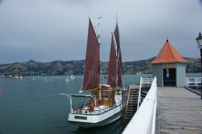 Sailing and Wildlife Tour Akaroa Fox II Sailing - Who will enjoy this sailing most
