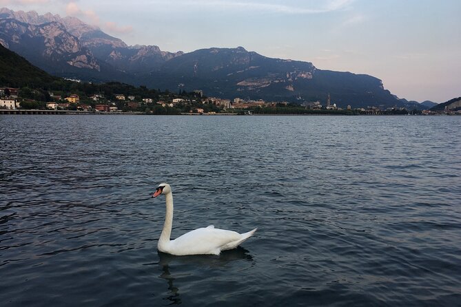 Sailing at Sunset on Lake Como: How to escape from daily routine - The swim stop in the middle of Lake Como