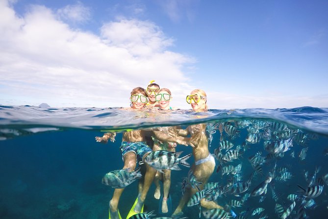 Sailing Catamaran Cruises - Key points to know before you book