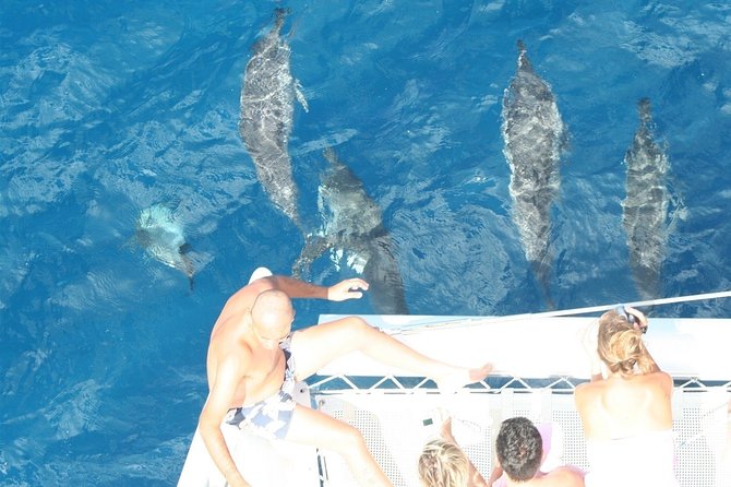 Sailing Catamaran Cruises - The west coast views toward Tamarin and Le Morne