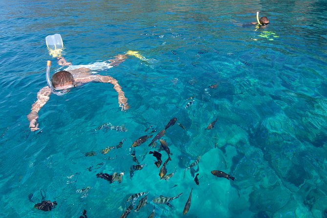 Sailing Catamaran Cruises - The seafood barbecue is the day’s main event