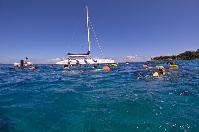 Sailing Catamaran Excursion - Key things to know before boarding