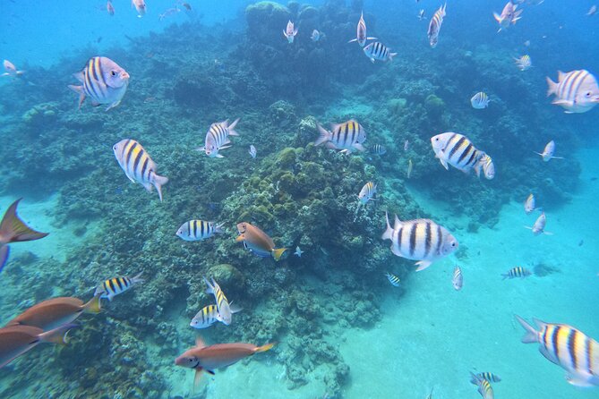 Sailing Catamaran Excursion - Booking, weather, and cancellation details