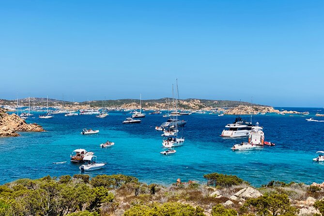 Sailing Cruise in Maddalena Archipelago from Maddalena - Budelli and the walk to Spiaggia Rosa