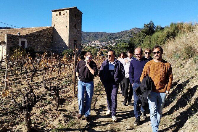 Sailing excursion Barcelona and visit to a winery in Alella - Key points to know before booking
