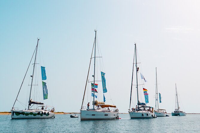 Sailing Experience in Lisbon - Portugal - Passing beneath Lisbon’s great suspension bridge