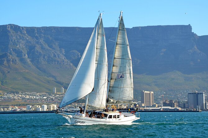 Sailing in Table Bay Cape Town aboard a Classic Schooner - Wildlife Watch: Seals, Dolphins, and Possible Whales