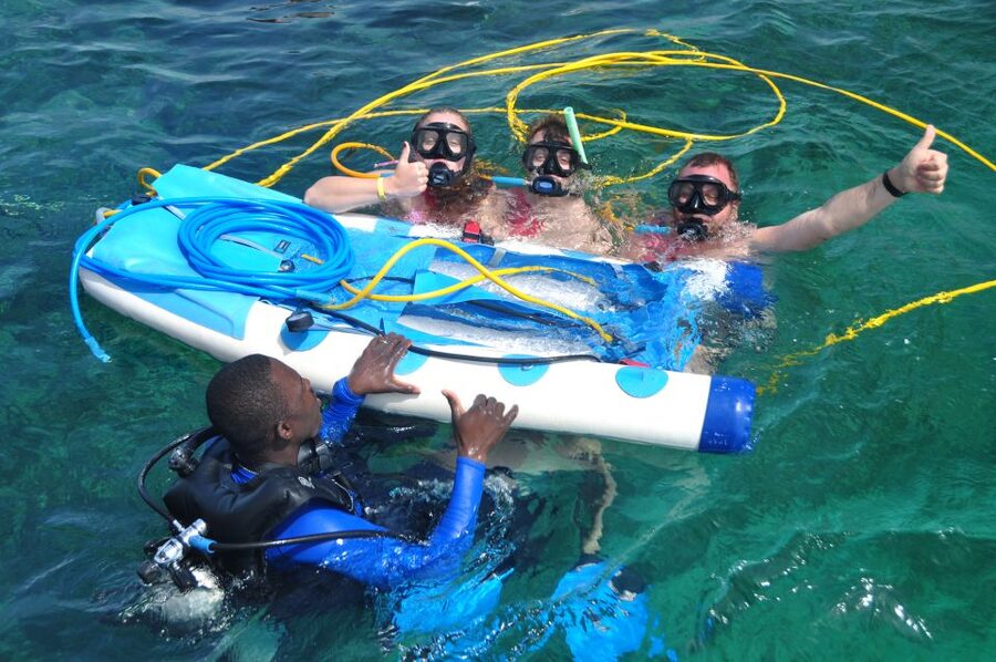 Sailing Splash Tour Speedboat, Snorkel, and Catamaran - Sharks, stingrays, and the offshore platform