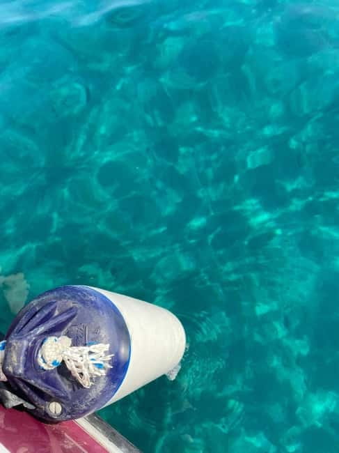 Sailing the Cilento coast: adventure, and serenity - Key points to know before sailing