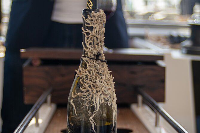 Sailing Tour and Tasting of Submarine wines on board - Setting off from Marina Vela