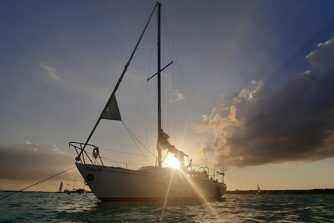 Sailing Tour around the Bacalar Lagoon - Bird watching from the lagoon islands