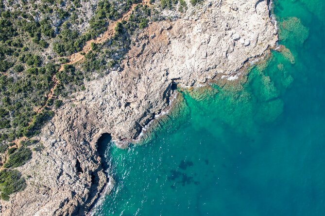 Sailing trip and swim in the bay of Dénia on a catamaran - Who Will Enjoy This Boat Trip Most