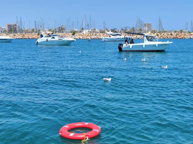 Sailing with sunset and swim in the sea - Is $65 per person good value?