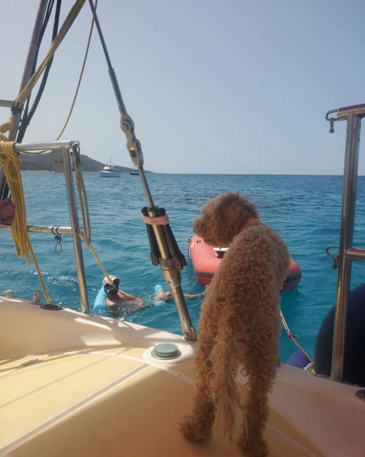 Saint-Florent: sailing excursions with Sailingmaures - Life aboard SABALI, the SunFizz 40