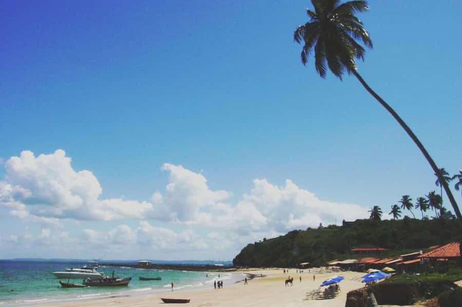 Salvador: Schooner Cruise with Pickup and Itaparica Stop - Who will enjoy this day most