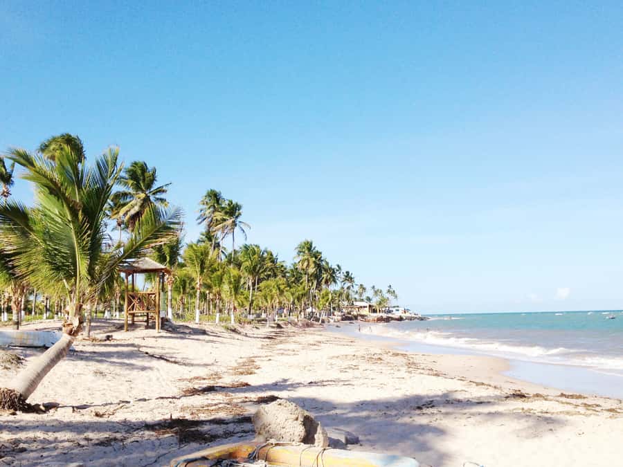 Salvador: Schooner Cruise with Pickup and Itaparica Stop - Ilha dos Frades is the strongest stop