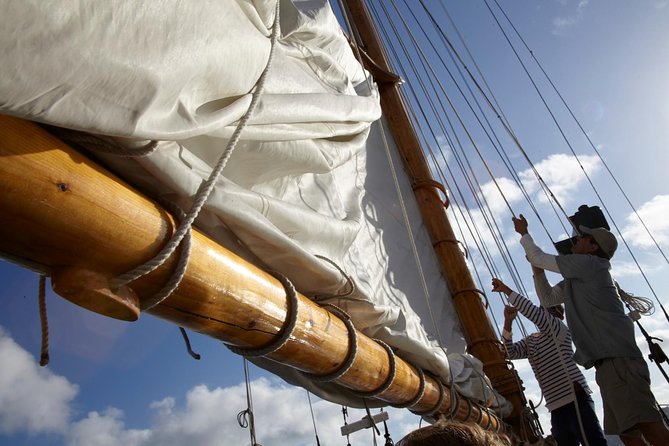 San Diego Bay Sail Aboard a Vintage Yacht Beer and Wine Included - Wildlife, sailing, and what the evening may bring