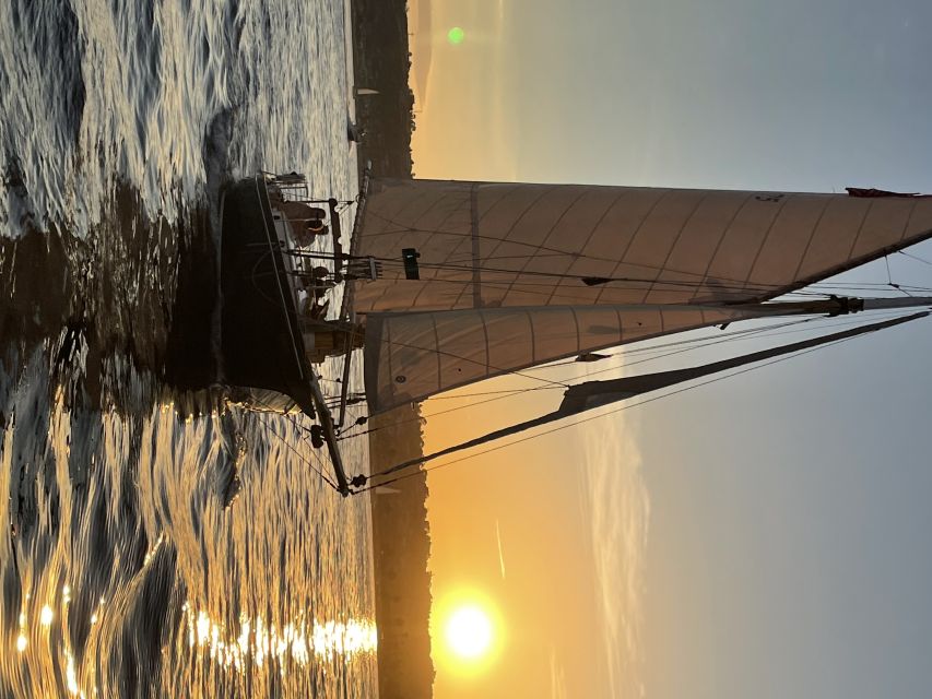 San Diego: Classic Yacht Sailing Experience - Sea lions, dolphins, and seabirds