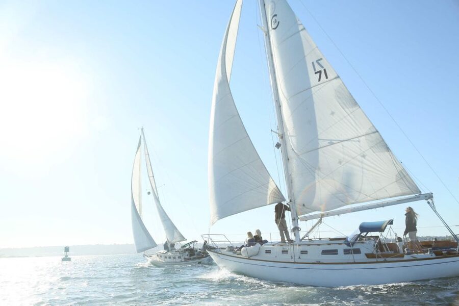 San Diego: Private 2-Hour Sailing Tour for 3-6 People - Sea Lions, Seabirds, and the Chance of a Dolphin