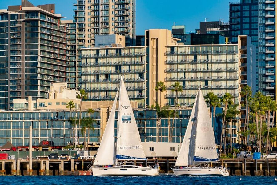 San Diego: Relax on a Morning, Day or Sunset Luxury Sail - Wildlife, wind, and the open Pacific
