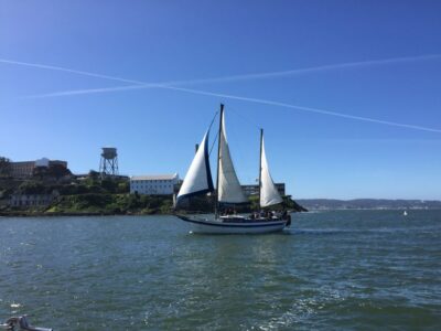 Bay Sailing Tour with Drinks