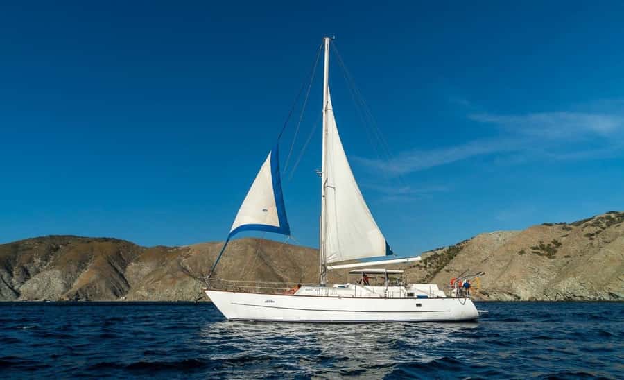 Santa Marta: Sailing Tour to Tayrona Park with Luis' Team - Leaving Santa Marta at 11 am