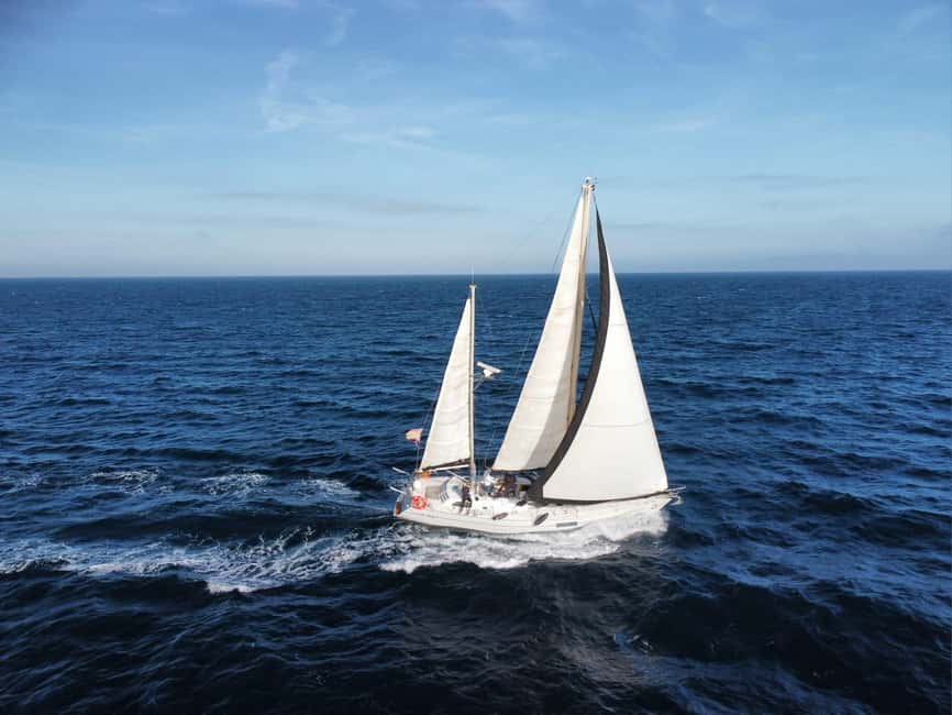Santa Pola: Sail to Tabarca, snorkel, and enjoy sunset with a tasting - Key points to know before you book