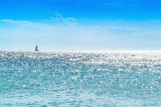 Saona Island Sailing Tour - All Inclusive - Lunch, open bar, and live entertainment