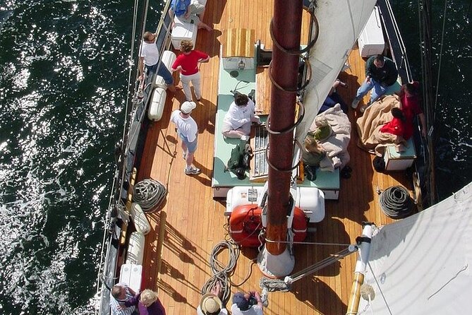 Schooner Appledore Day Sail with Full Bar in Key West - Mallory Square and the Key West Waterfront from the Water