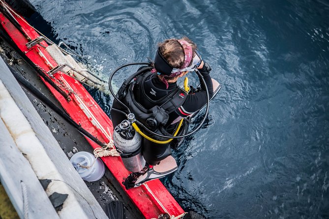 Scuba Diving at Sail Rock From Koh Phangan Certified Divers Only - Key points to know before booking