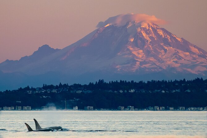 Seattle Sunset Sail BYOB - Wind, cold, and the practical side of deck seating