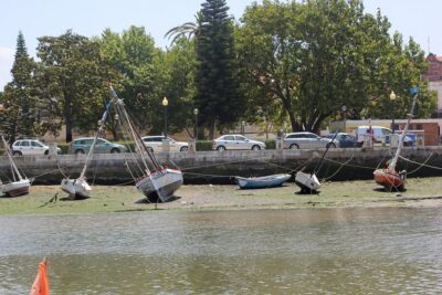 Seixal Sailing Cruise – Lunch in a typical restaurant