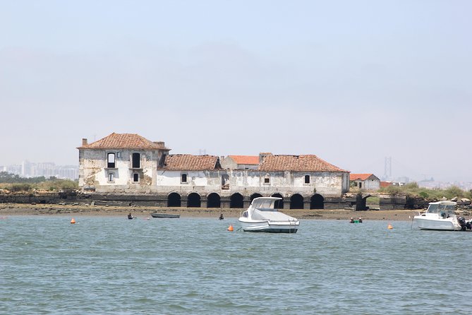 Seixal Sailing Cruise - Lunch in a typical restaurant - What the $107.23 price really covers