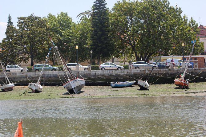 Seixal Sailing Cruise - Lunch in a typical restaurant - Passing Almada and the Dom Fernando e Gloria